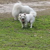 Daisy of Central FL