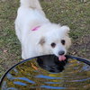 Daisy of Central FL