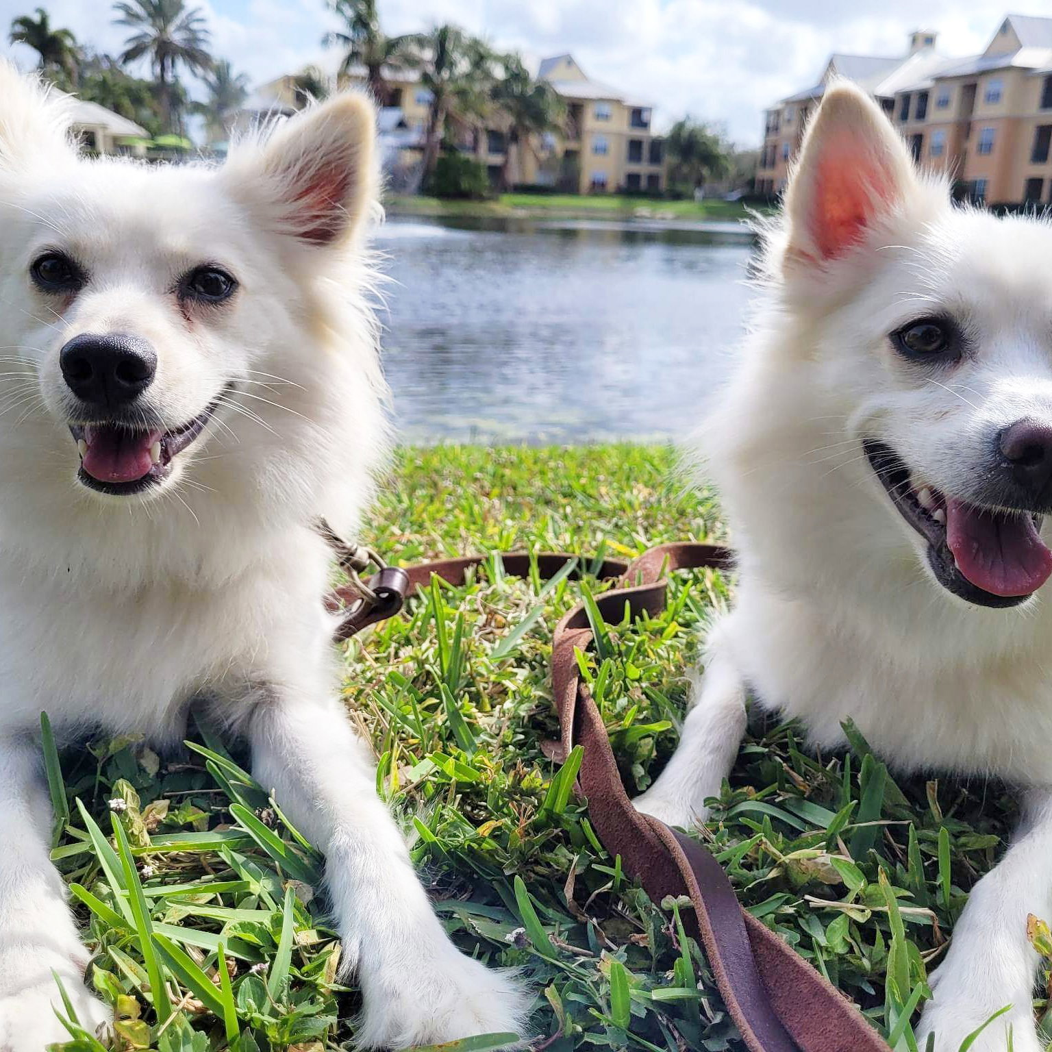 Zach and Milo of Stuart Fl