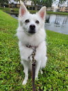 Zach and Milo of Stuart Fl