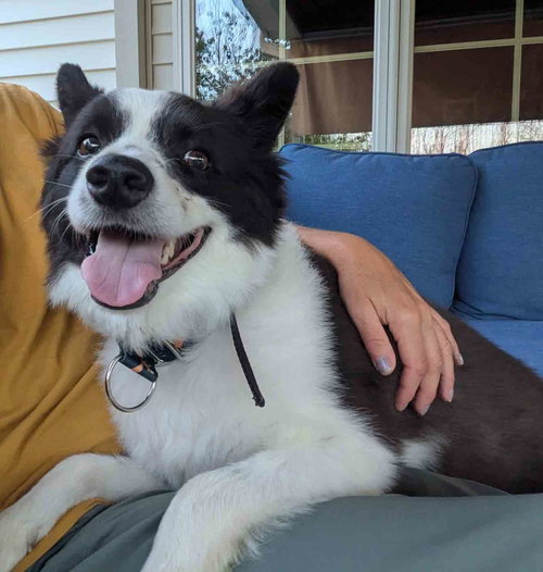 Max of Clarence NY