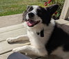 Max of Clarence NY