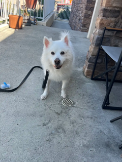 Rudy of Los Angeles
