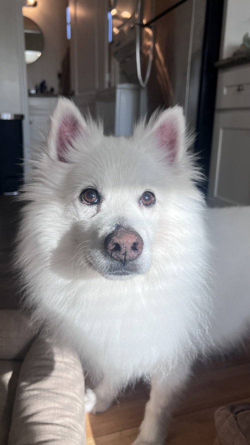 Rudy of Los Angeles