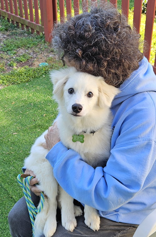 Wyatt Of Md photo 4