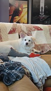 Rocco of Cresent, PA