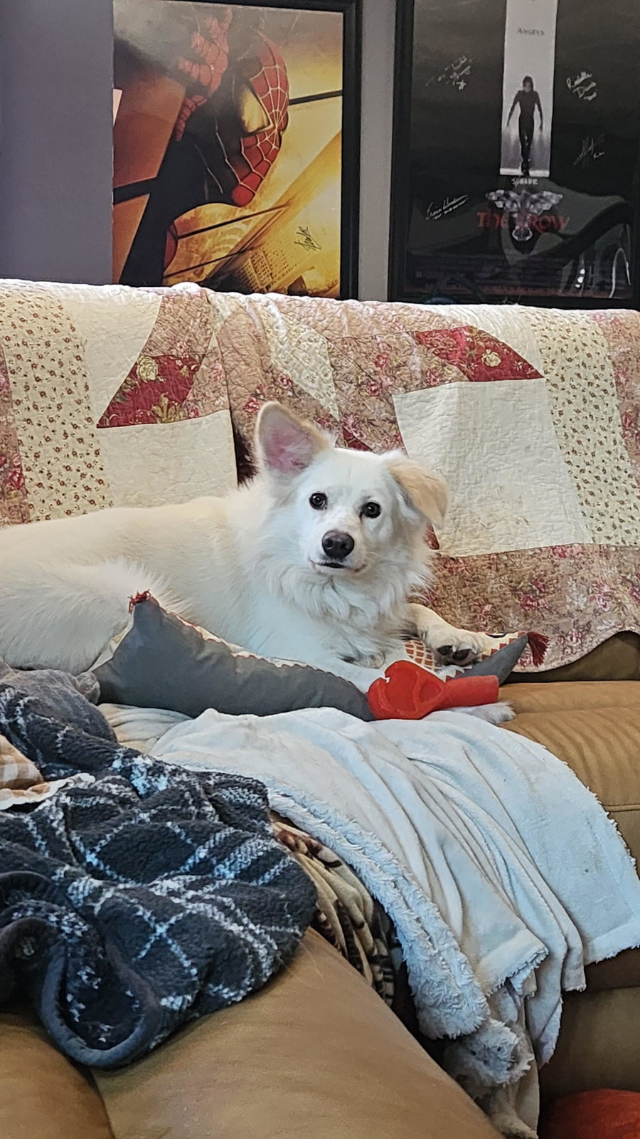 Rocco of Cresent Pa