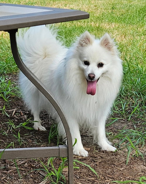 Meika of Elk Mound, WI