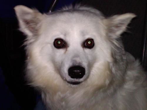 Sophie of TN
