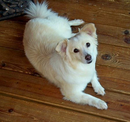 Lucy of GA