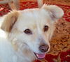 Lucy of GA