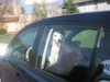 Stella in CO
