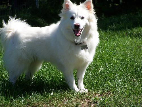 Lucy in Pa