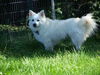 Lucy in Pa
