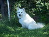Lucy in Pa
