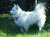 Lucy in Pa