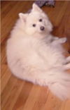 Snowflake