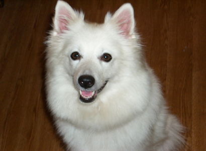 Sitka