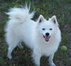Snowball in MN