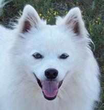 Snowball in MN