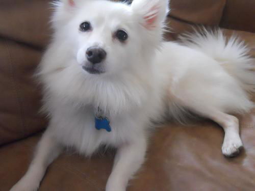 Lila Rose of PA