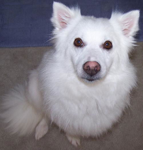 Lucy of PA