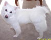 Lucy of PA