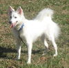 Shiro of FL