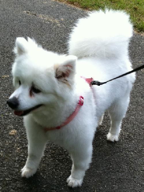 Skye of MD