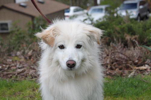 Lola in WA