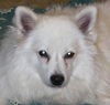 Sophie in MN