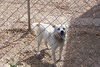 Annie in MS