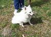 Mia in MS