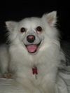 Lola of NC