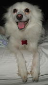 Lola of NC