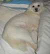Lola of NC