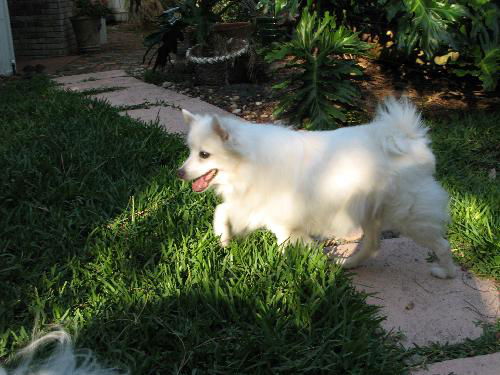 Shiloh
