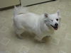 Shiloh