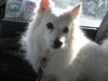 Skeeter of CO