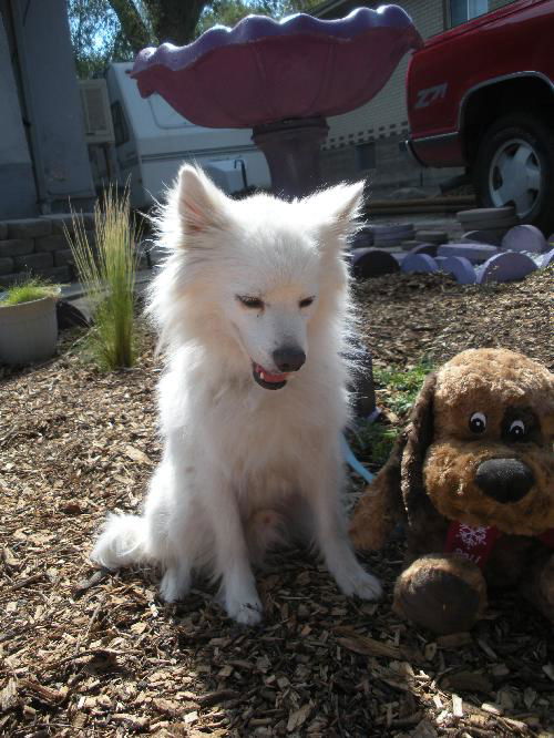 Atka in CO