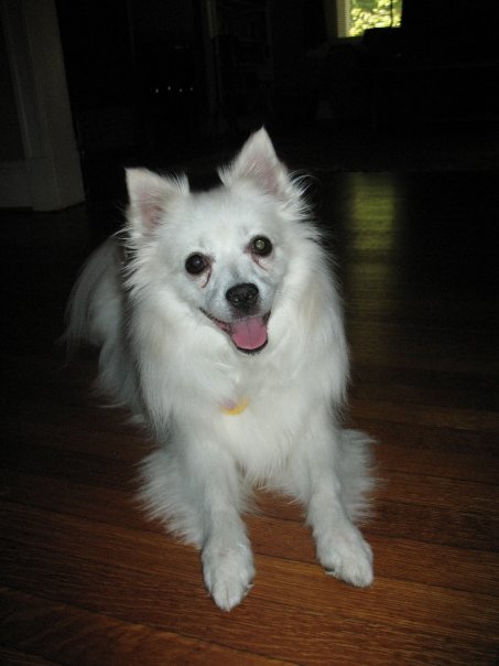 Lucy of Midlothian, VA