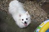Lucy of Midlothian, VA