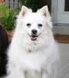 Lucy of Midlothian, VA