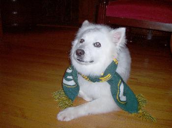 Casper the Packer Fan 