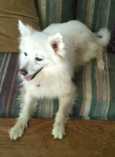 Sophie of Amite LA