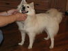 Kishka