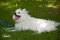 Smokey of  Blue Earth, MN