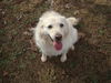 Snowbelle of PA