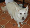 Snowbelle of PA