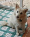 Snowbelle of PA